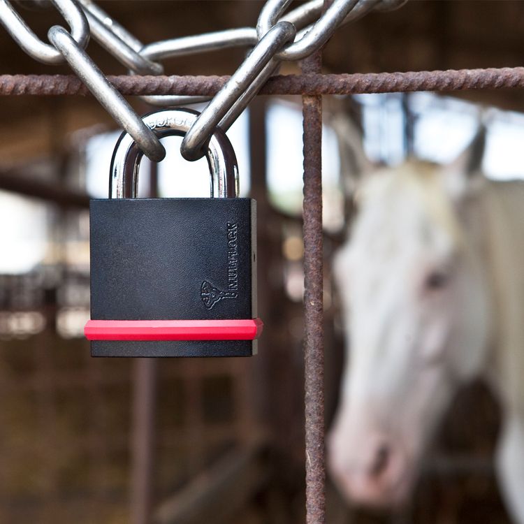 NE Series Padlocks | MUL-T-LOCK